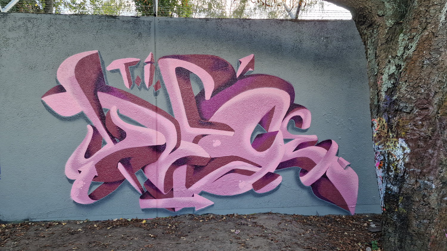 Trece by SNAPone - Pinkish Delight