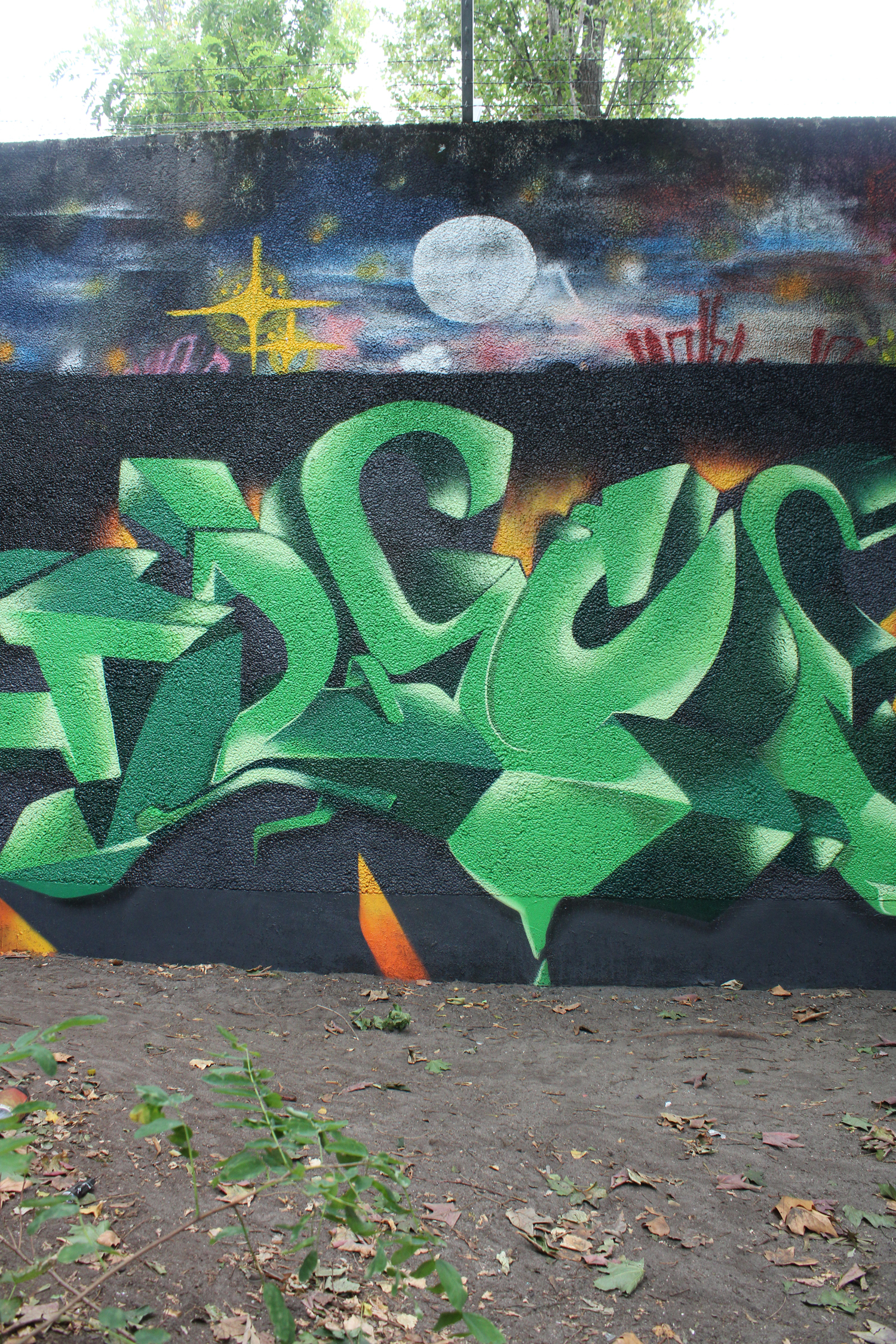 SNAPone TRECE - Weed