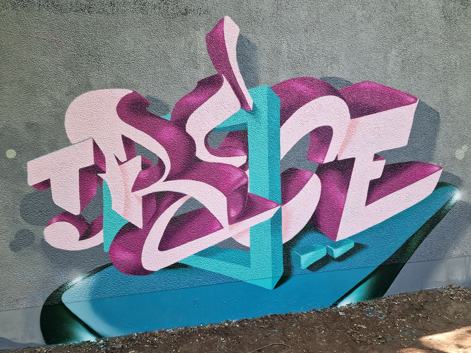 SNAPone TRECE - framed