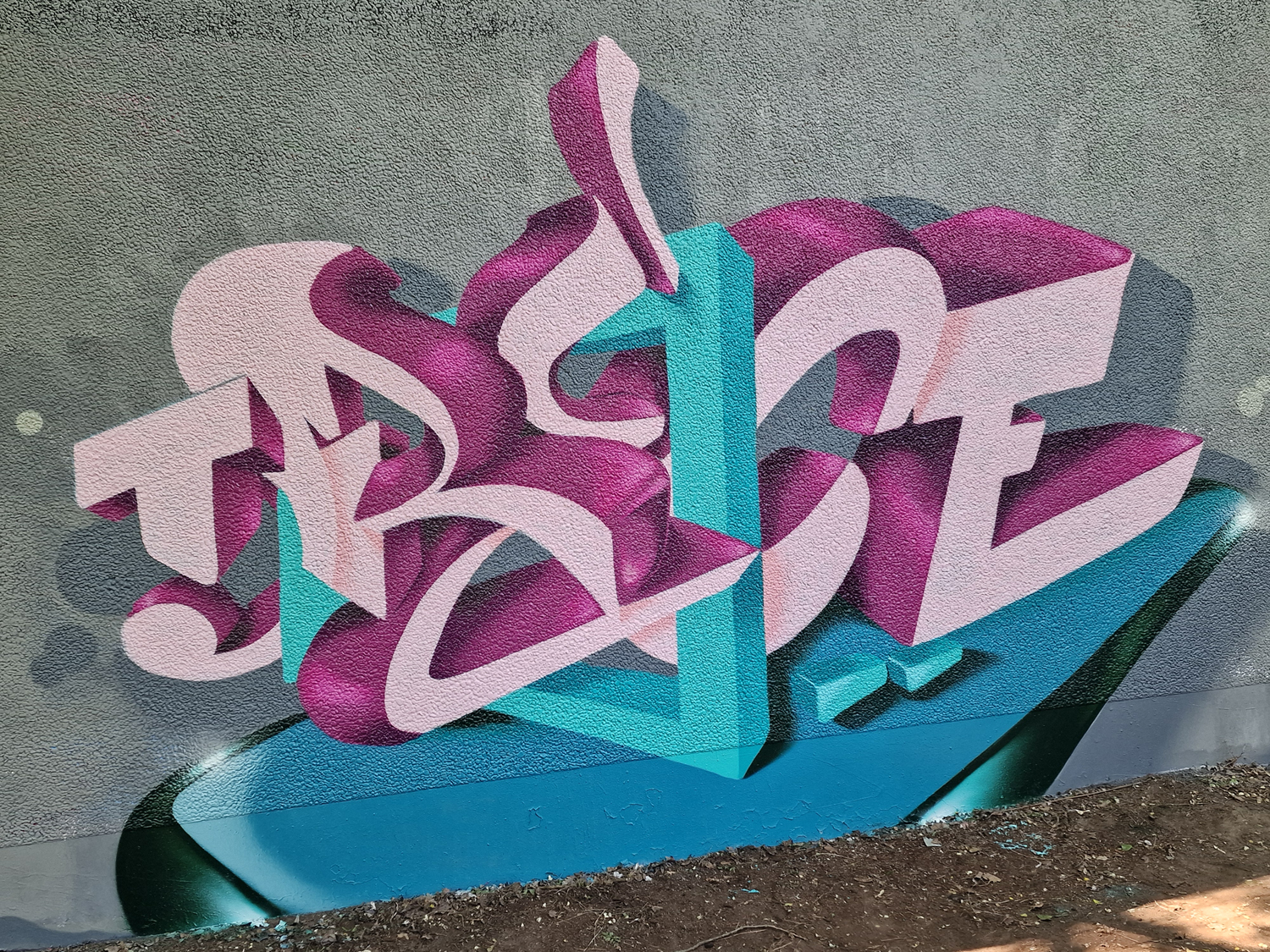 SNAPone TRECE - framed