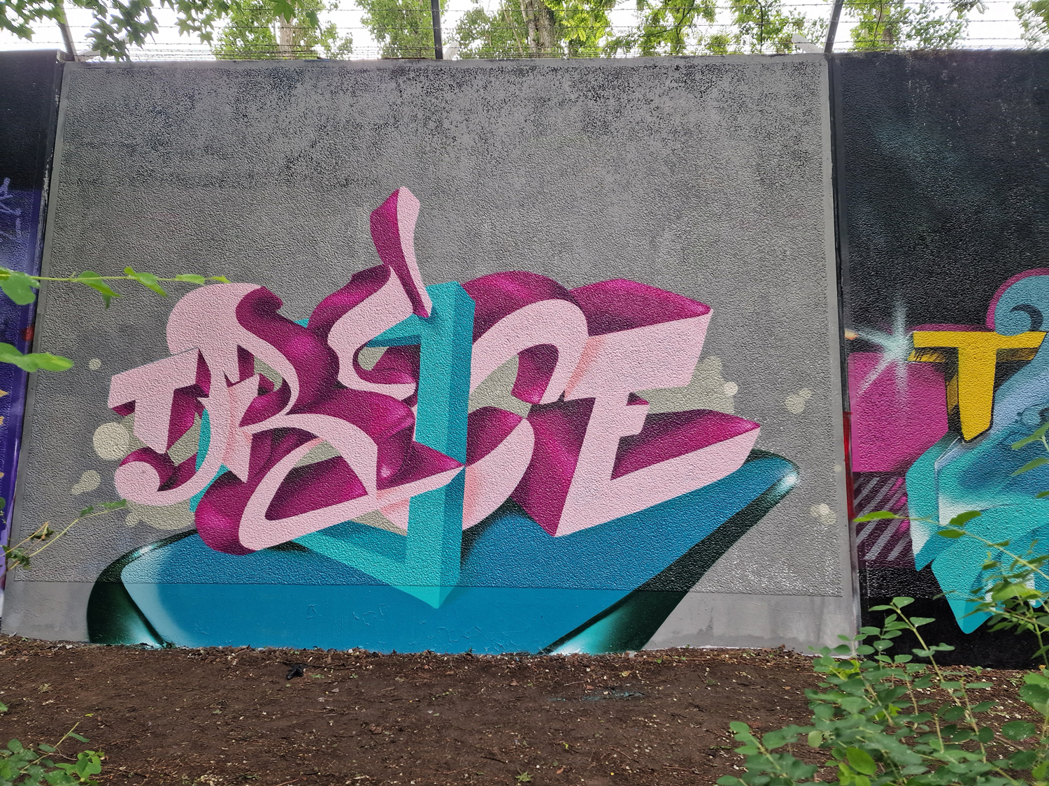 SNAPone TRECE - framed