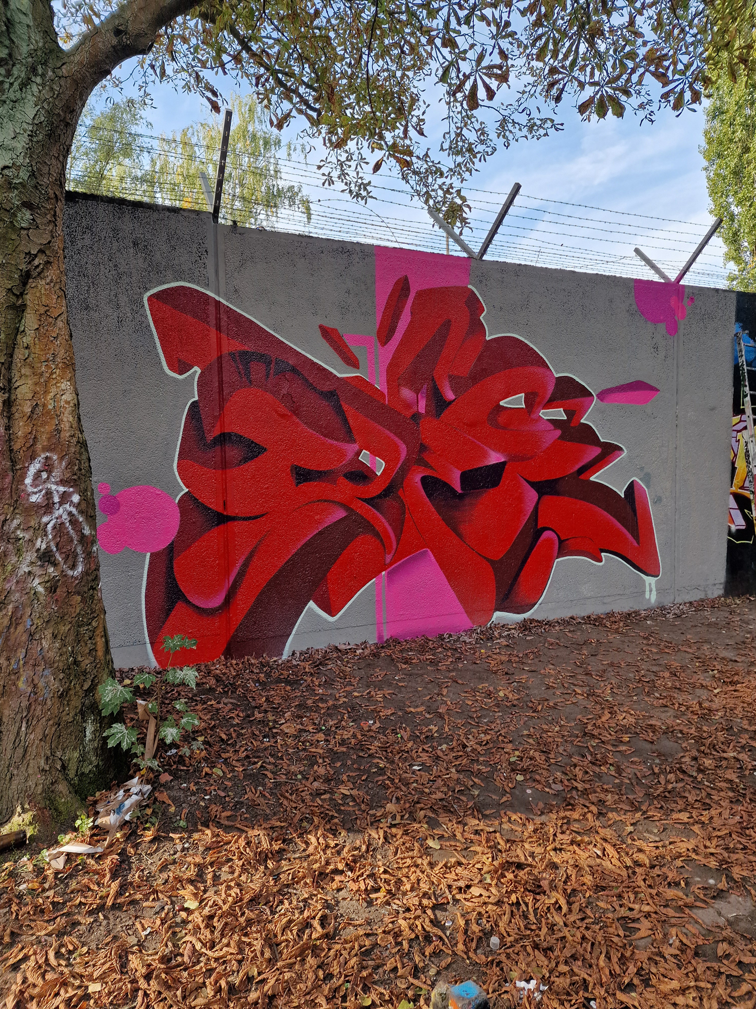 SNAPone TRECE - redscare